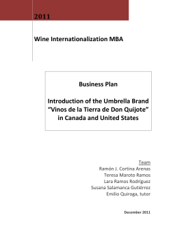 2011 Wine Internationalization MBA Business Plan