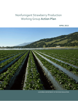 08 Nonfumigant Strawberry Production Action Plan