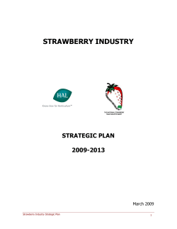 STRAWBERRY INDUSTRY  STRATEGIC PLAN 2009-2013