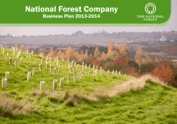 National Forest Company Business Plan 2013-2014