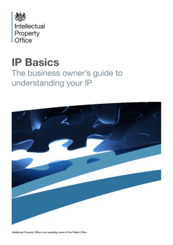 IP Basics The business owner’s guide to understanding your IP