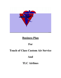 Business Plan  For Touch of Class Custom Air Service