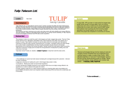 Tulip Telecom Ltd.  Synopsis