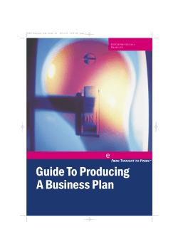 Guide To Producing A Business Plan e E