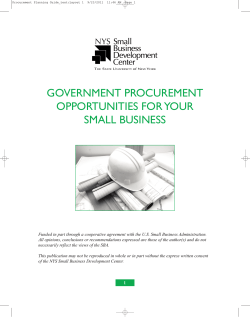 GOVERNMENT PROCUREMENT OPPORTUNITIES FORYOUR SMALL BUSINESS