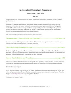Independent Consultant Agreement