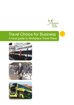 Travel Choice for Business A local guide to Workplace Travel Plans