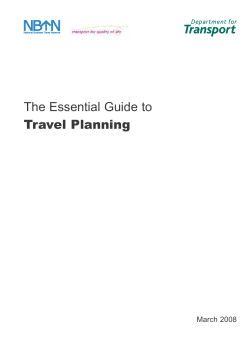 The Essential Guide to Travel Planning March 2008 National Business Travel Network