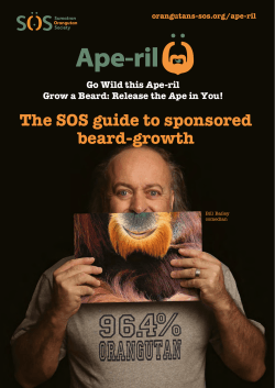 The SOS guide to sponsored beard-growth Go Wild this Ape-ril