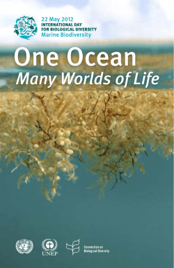 One Ocean Many Worlds of Life