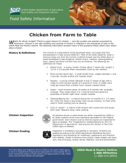 W Chicken from Farm to Table Food Safety Information