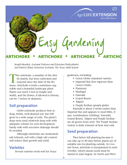 Easy Gardening • artichoke articho
