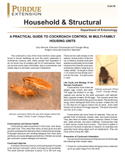 Household &amp; Structural A PRACTICAL GUIDE TO COCKROACH CONTROL IN MULTI-FAMILY