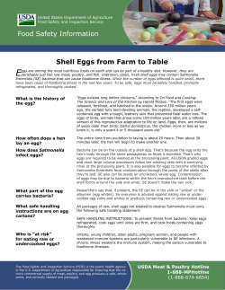 E Food Safety Information Shell Eggs from Farm to Table