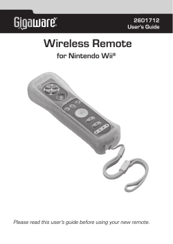 Wireless Remote for Nintendo Wii 2601712 User’s Guide
