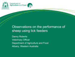 Observations on the performance of sheep using lick feeders Danny Roberts Veterinary Officer