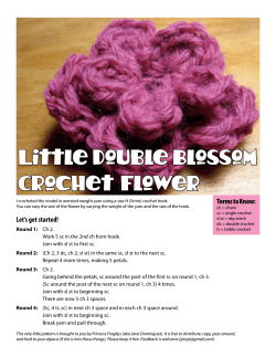 Little Double Blossom Crochet Flower Terms to Know: