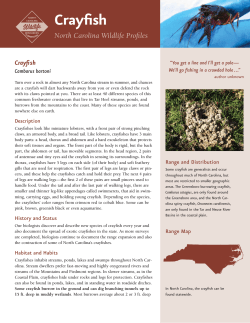 Crayﬁsh North Carolina Wildlife Profiles Cambarus bartoni