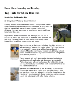 Top Tails for Show Hunters Horse Show Grooming and Braiding