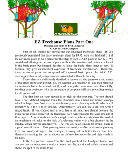 EZ Treehouse Plans Part One