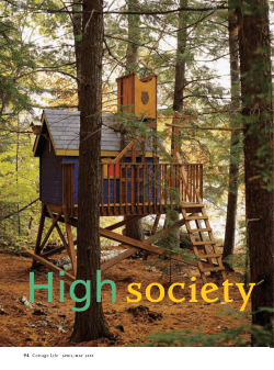 High  society 94