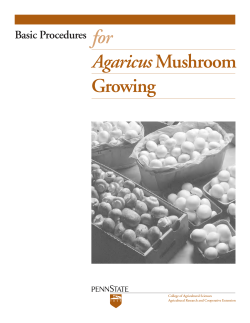 for Agaricus Growing Basic Procedures