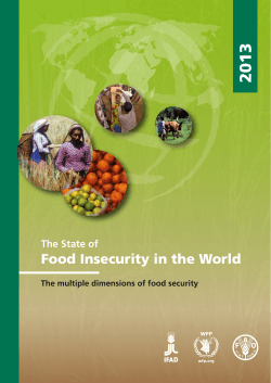 2013 Food Insecurity in the World The State of