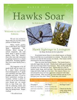 Hawks Soar Welcome to our First Edition