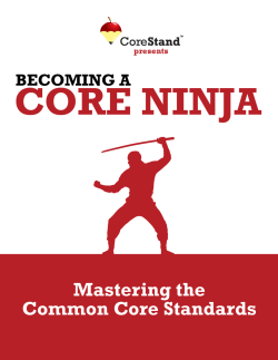 Becoming a Core Ninja . www.corestand.com
