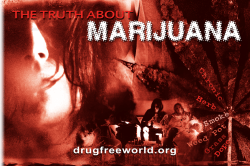 MARIJUANA THE TRUTH ABOUT drugfreeworld.org Dope