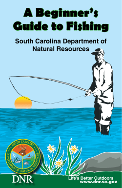 A Beginner’s Guide to Fishing South Carolina Department of Natural Resources