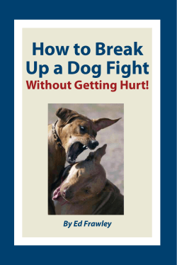 How to Break Up a Dog Fight Without Getting Hurt! By Ed Frawley
