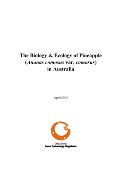 The Biology &amp; Ecology of Pineapple Ananas comosus in Australia April 2003