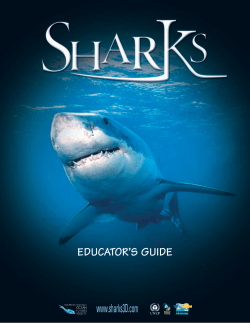 www.sharks3D.com EDUCATOR’S GUIDE