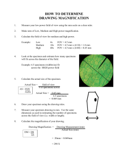 HOW TO DETERMINE DRAWING MAGNIFICATION