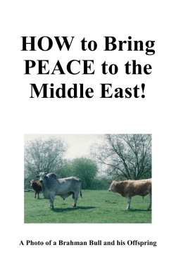 HOW to Bring PEACE to the Middle East!