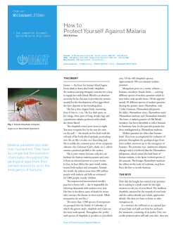 How to Protect Yourself Against  Malaria