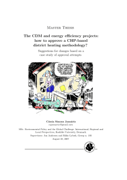 Master Thesis The CDM and energy efficiency projects: district heating methodology?