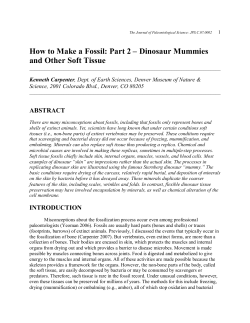 How to Make a Fossil: Part 2 – Dinosaur Mummies ABSTRACT