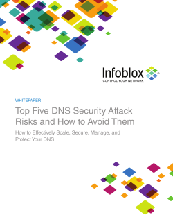 Top Five DNS Security Attack Risks and How to Avoid Them