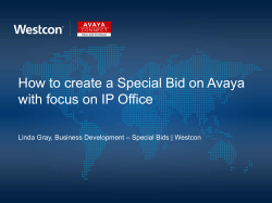 How to create a Special Bid on Avaya