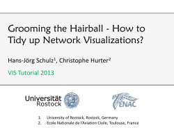 Grooming the Hairball - How to Tidy up Network Visualizations? Hans-Jörg Schulz