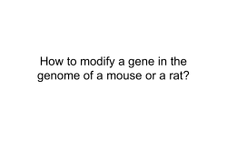 How to modify a gene in the