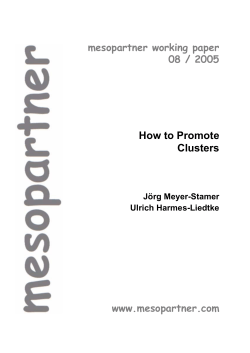 How to Promote Clusters mesopartner working paper 08 / 2005
