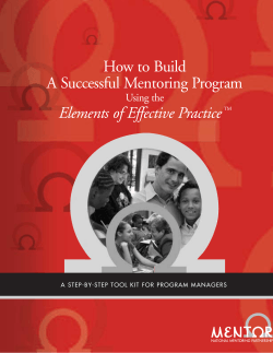 How to Build A Successful Mentoring Program Elements of Effective Practice Using the
