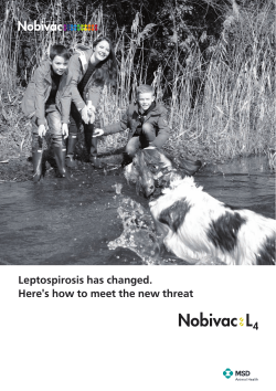 Leptospirosis has changed. Here's how to meet the new threat