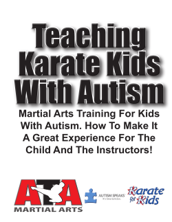 Martial Arts Training For Kids With Autism. How To Make It
