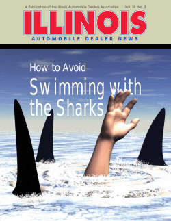 Swimming with the Sharks How to Avoid