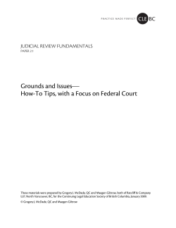 ⎯ Grounds and Issues How-To Tips, with a Focus on Federal Court
