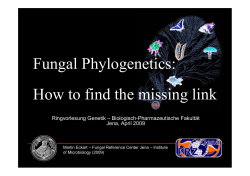Fungal Phylogenetics: How to find the missing link Jena, April 2009